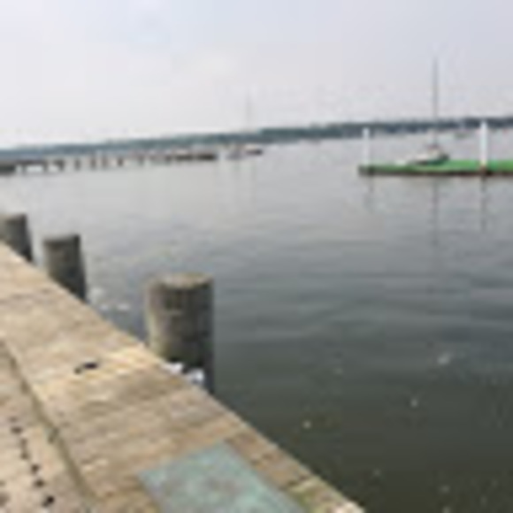 Meet your Posher, Siobhan - Picture 1 of 1